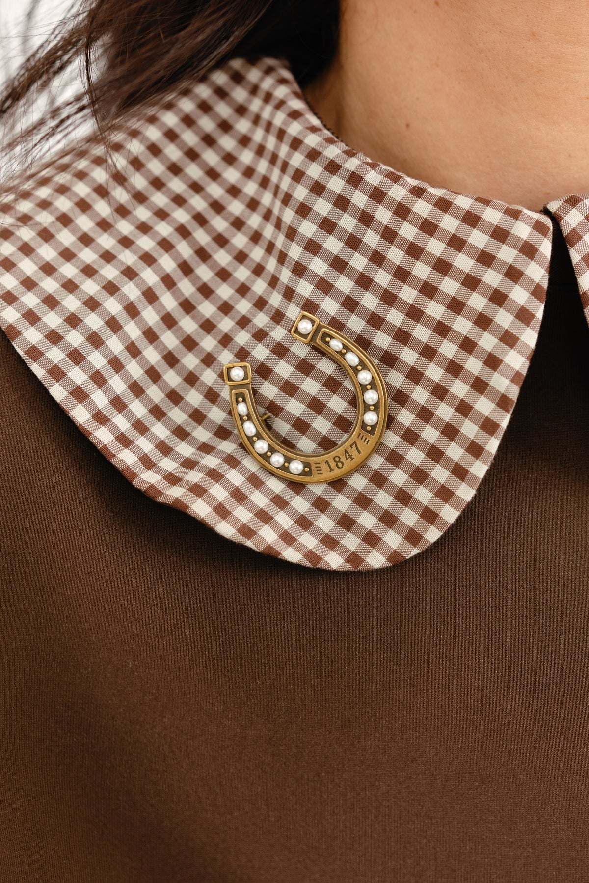 The Lucky Horseshoe Brooch